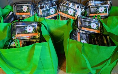 Charitable activities in 2025